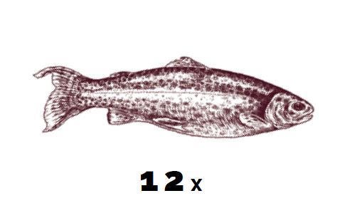 Kaiser_tolik_ryb_do_udirny_50